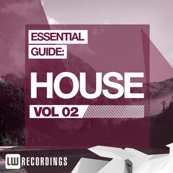 Various Artists - Essential Guide: House Vol. 02