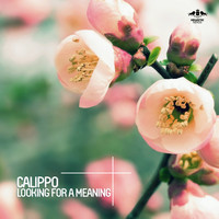 Calippo - Looking for a Meaning
