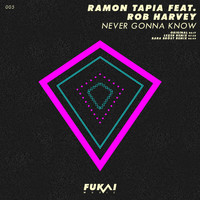 Ramon Tapia feat. Rob Harvey - Never Gonna Know