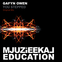 Gafyn Owen - You Stepped