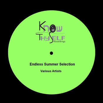 Various Artists - Endless Summer Selection