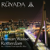 Damian Wasse - Rotterdam