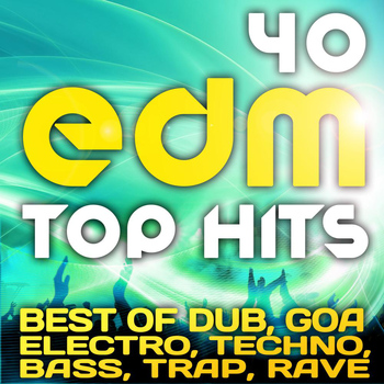 Various Artists - 40 EDM Top Hits 2013 (Best of Dubstep, Electro, Psytrance, Progressive, Goa, Techno, Bass, Trap)