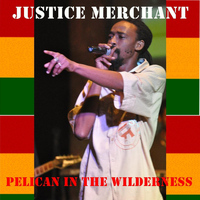 Justice Merchant - Pelican in the Wilderness
