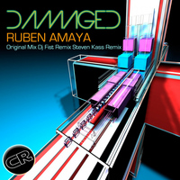 Ruben Amaya - Damaged