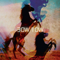 Bow Low / - 30W 10W