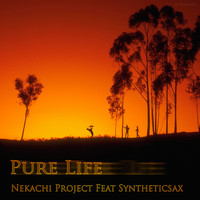 Nekachi Project feat. Syntheticsax - Pure Life