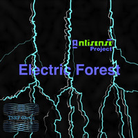 Antisense Project - Electric Forest