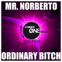 Mr. Norberto - Ordinary Bitch
