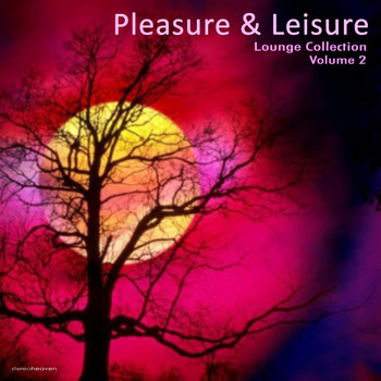 Various Artists - Pleasure & Leisure Lounge Collection, Vol. 2