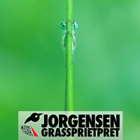 Jorgensen - Gras Spriet Pret