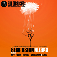 Sebb Aston - Milkshake