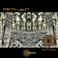 Mettakin - Under the Canopy