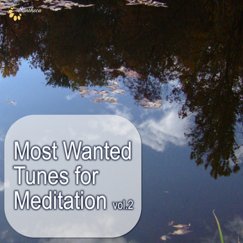 Various Artists - Most Wanted Tunes For Meditation, Vol. 2