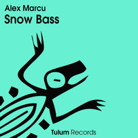 Alex Marcu - Snow Bass