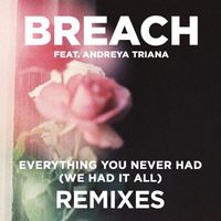 Breach - Everything You Never Had (We Had It All) (feat. Andreya Triana) (Remix Package)