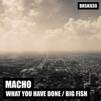Macho - What You Have Done / Big Fish