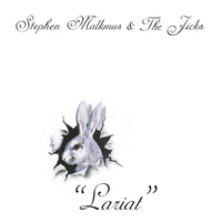Stephen Malkmus & The Jicks - Lariat