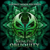 Axial Tilt - Obliquity