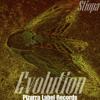 Stiopa - Evolution