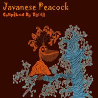 Zooch - Javanese Peacock