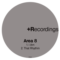 Area 8 - I Am / That Rhythm