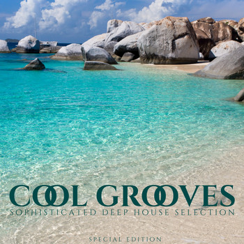 Various Artists - Cool Grooves