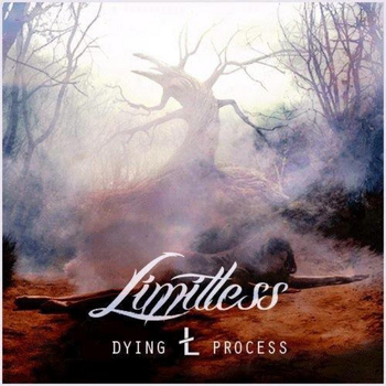 Limitless - Dying Process
