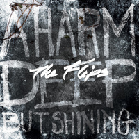 The Flips - A Harm Deep but Shining