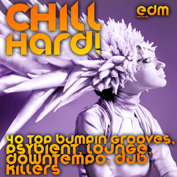 Various Artists - Chill Hard! (40 Top Bumpin Grooves, Psybient, Lounge, Downtempo, Dub Killers)