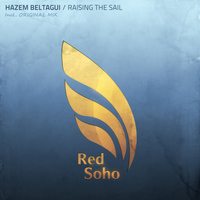 Hazem Beltagui - Raising The Sail