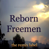 Vibrant - Reborn Freemen (Tribal Techhouse Mix) - Single