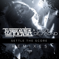 Terravita - Settle The Score Remixes