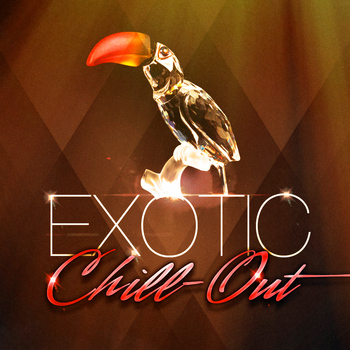 Various Artists - Exotic Chill-Out (50 Beats of Pure World Music Beats)