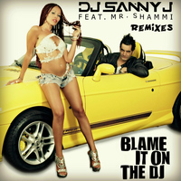 DJ Sanny J - Blame It On the DJ (Remixes)