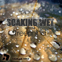 Freemind - Soaking Wet EP