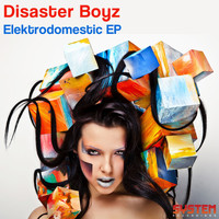 Disaster Boyz - Elektrodomestic EP