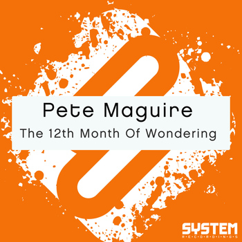 Pete Maguire - The 12th Month of Wondering