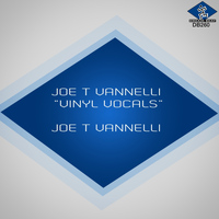 Joe T Vannelli - Vinyl Vocals