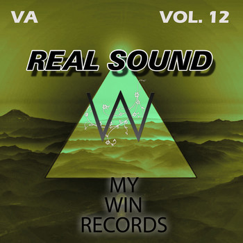 Various Artists - Real Sound, Vol. 12