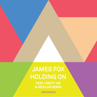 James Fox - Holding On (feat. Vanity Jay)