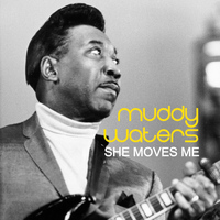 Muddy Waters - She Moves Me