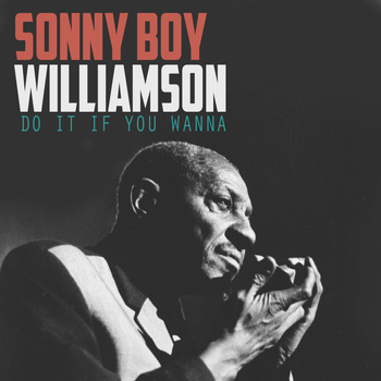 Sonny Boy Williamson - Do It If You Wanna