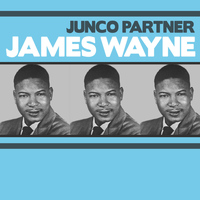 James Wayne - Junco Partner