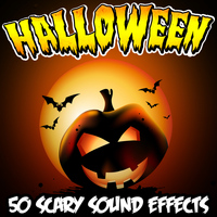Halloween Sound FX - Halloween 50 Scary Sound Effects