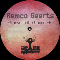 Remco Geerts - Groove In The House