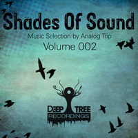 Analog Trip - Shades of Sound Vol 001