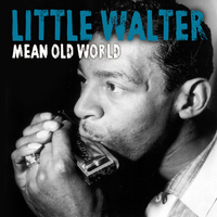 Little Walter - Mean Old World