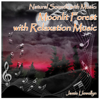 Jamie Llewellyn - Natural Sounds with Music: Moonlit Forest with Relaxation Music