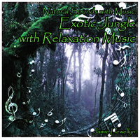 Jamie Llewellyn - Natural Sounds with Music: Exotic Jungle with Relaxation Music
